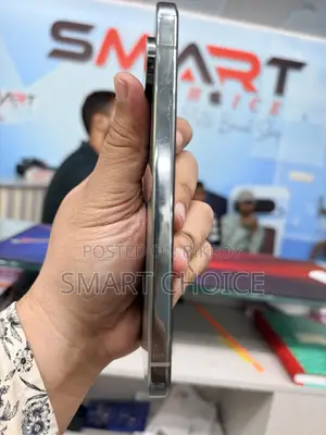 Mobile Phone 256 GB Silver