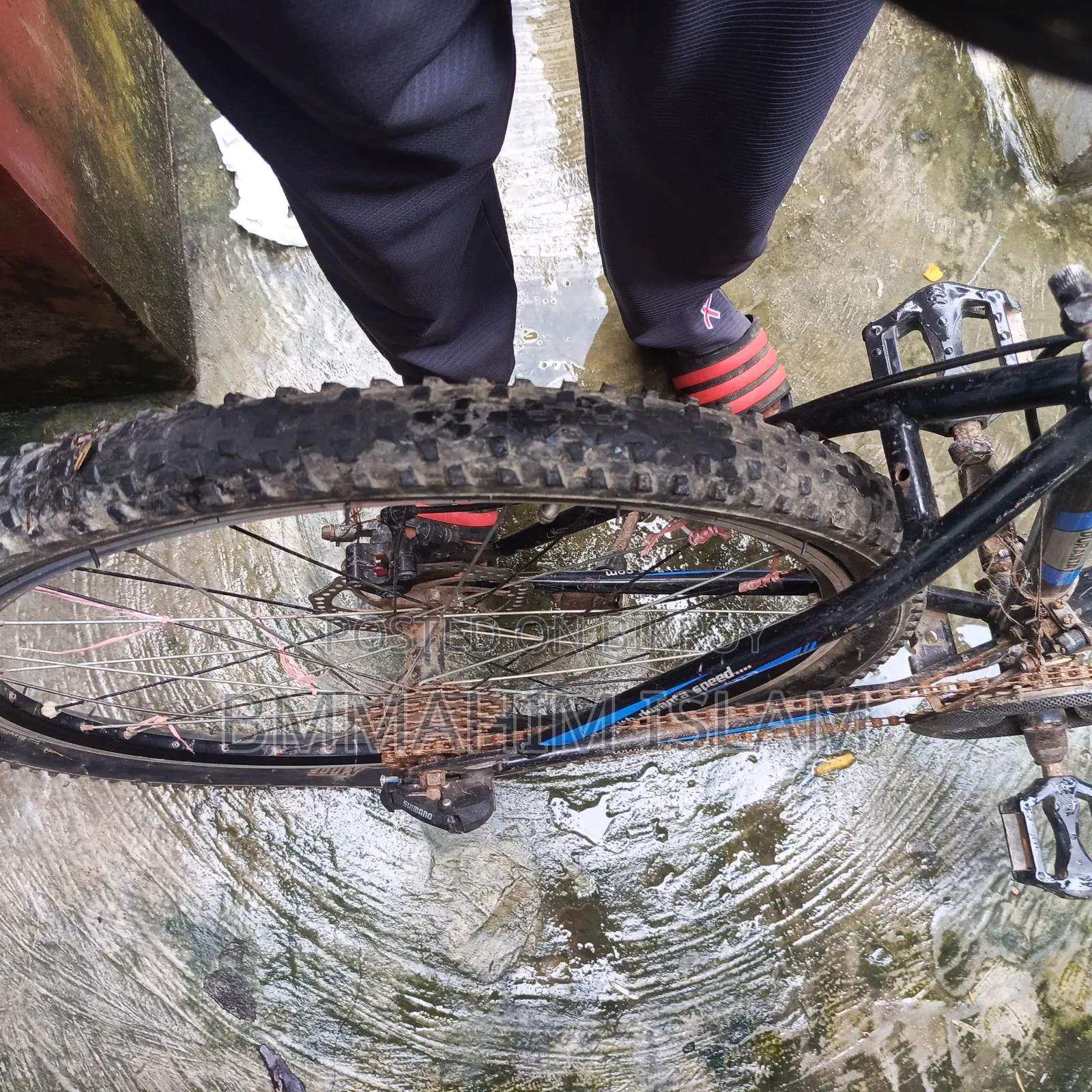 Cycle for sale