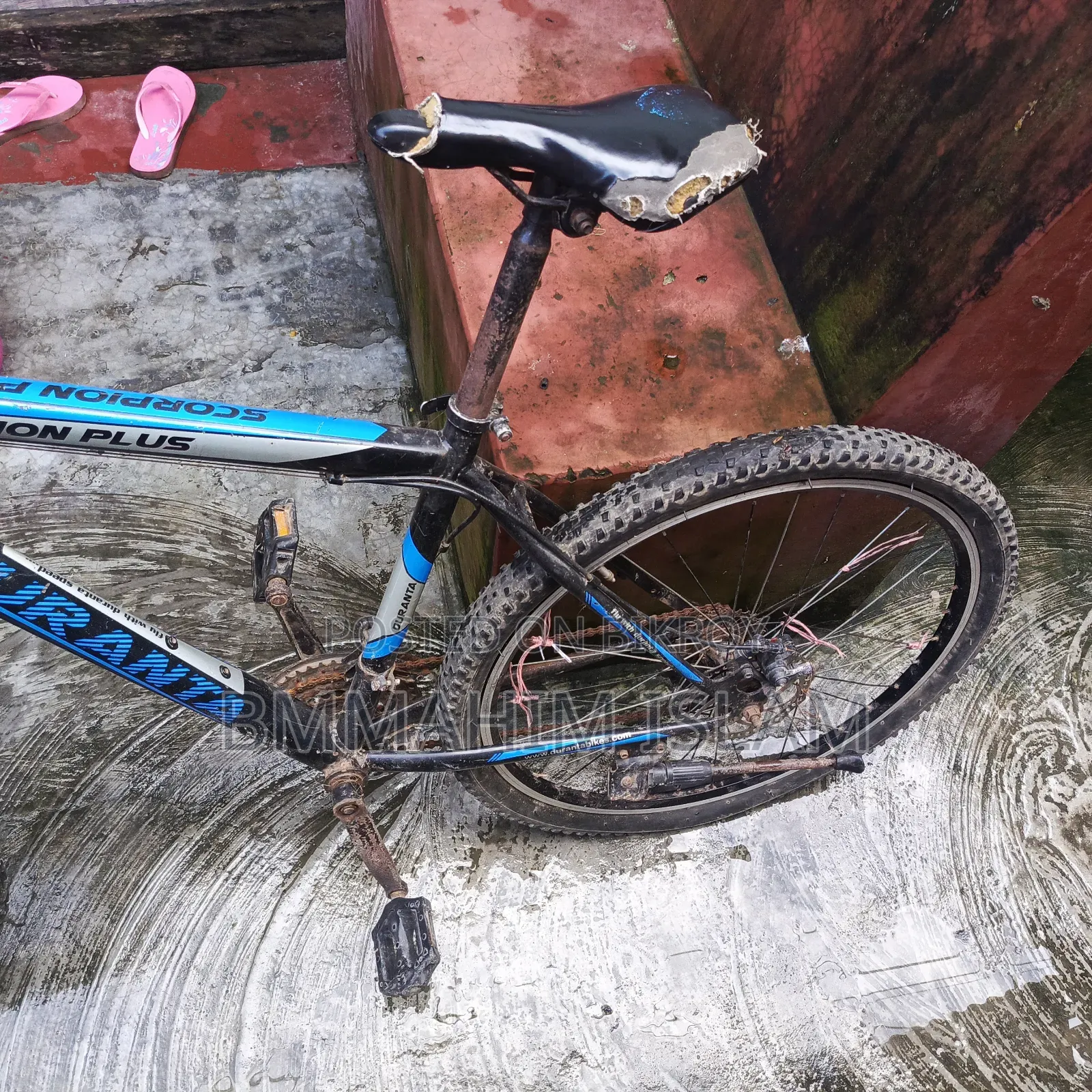 Cycle for sale