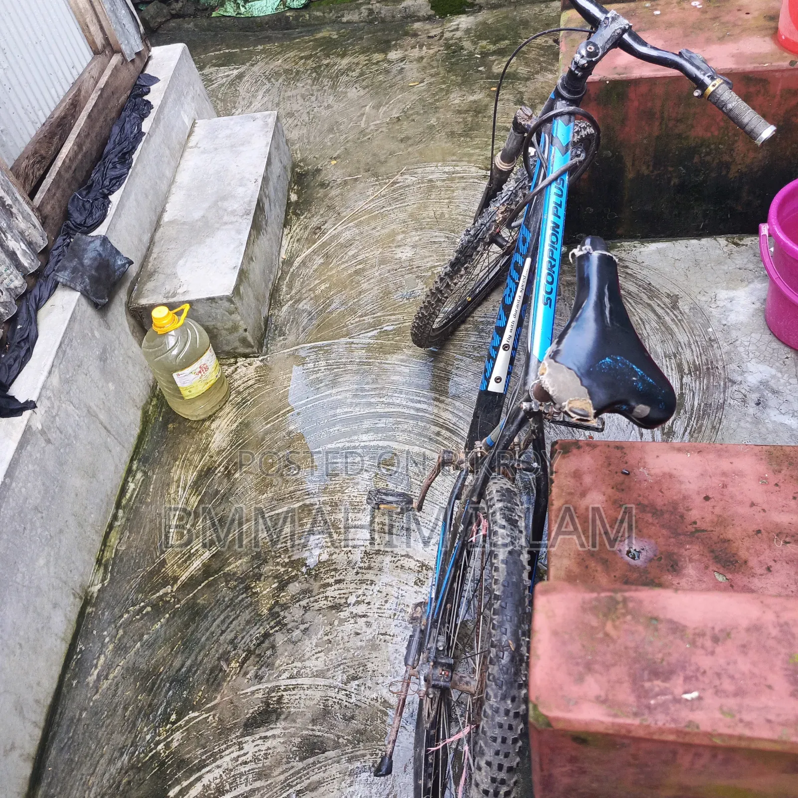 Cycle for sale