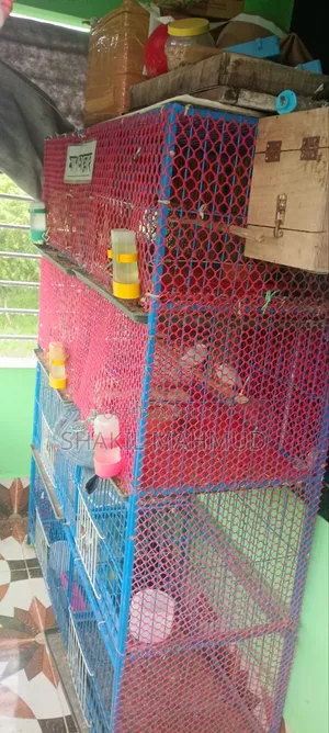 এই পাখির খাঁচাটি জরুরি বিক্রয় হইবে।