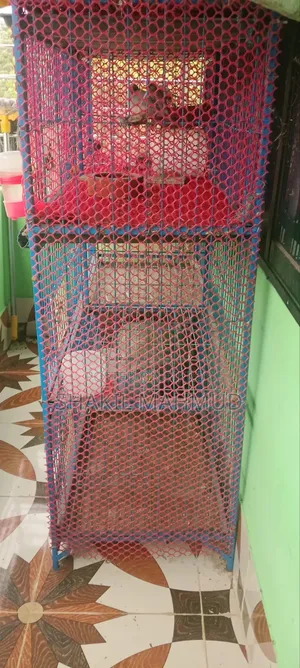 এই পাখির খাঁচাটি জরুরি বিক্রয় হইবে।