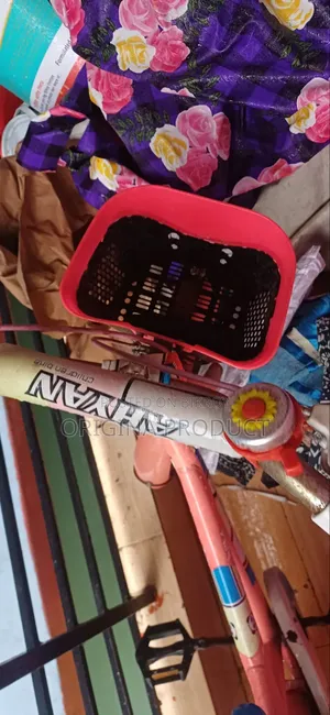 Baby Cycle