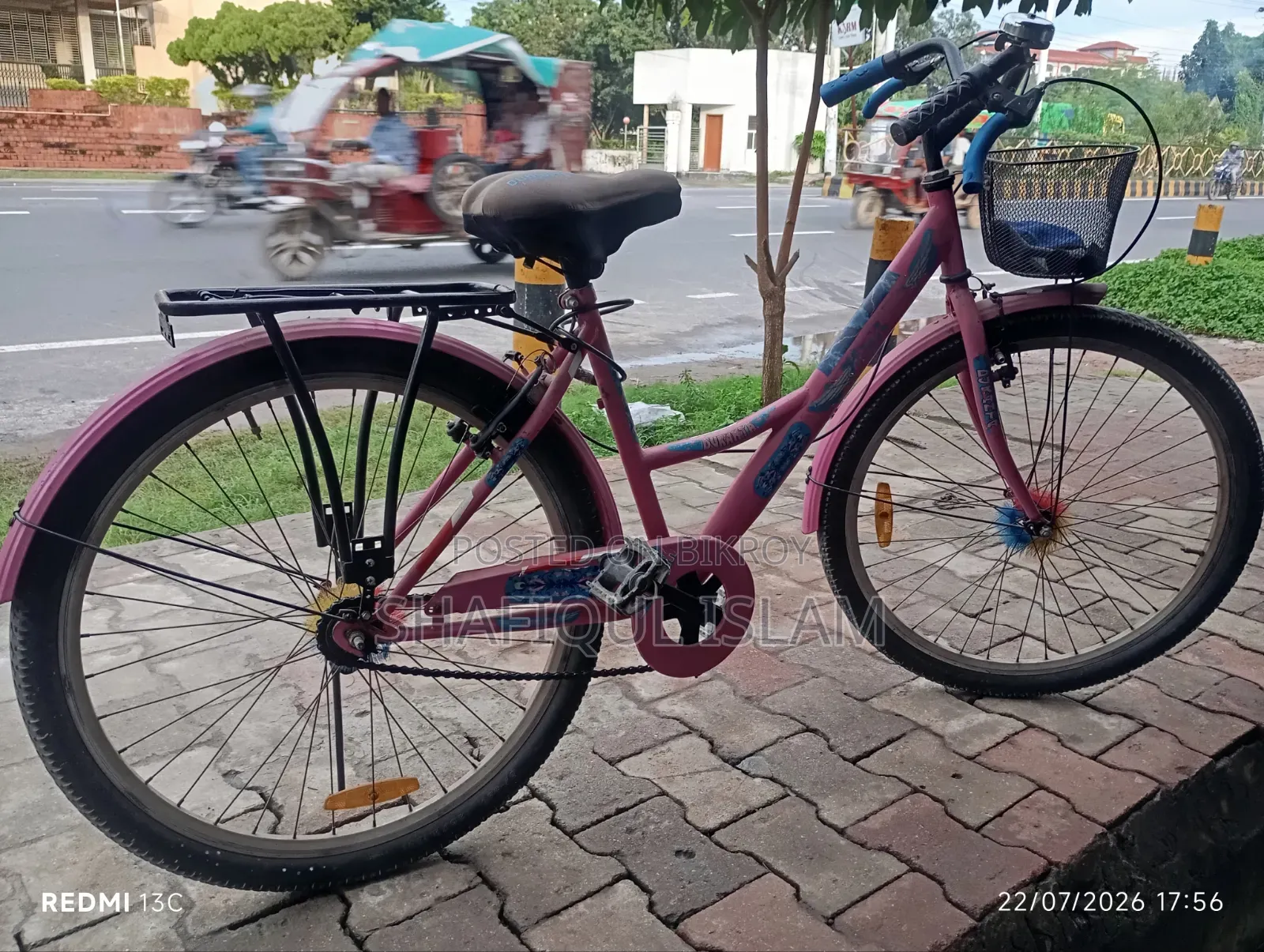 Girls Bicycle (Medium)