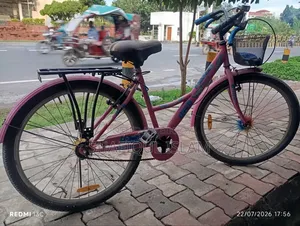 Girls Bicycle (Medium)