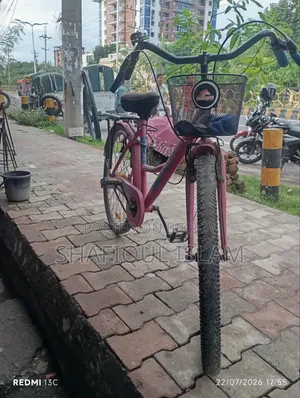 Girls Bicycle (Medium)