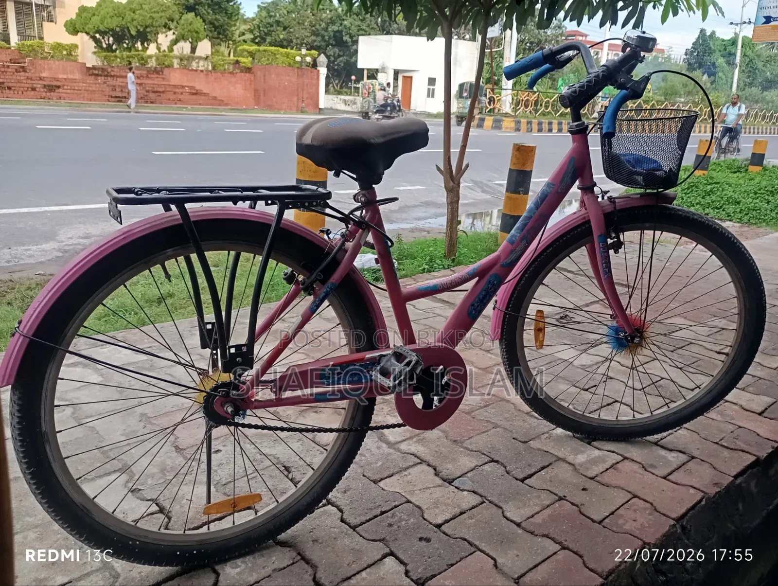 Girls Bicycle (Medium)