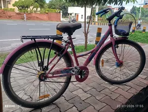 Girls Bicycle (Medium)