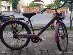 Girls Bicycle (Medium)