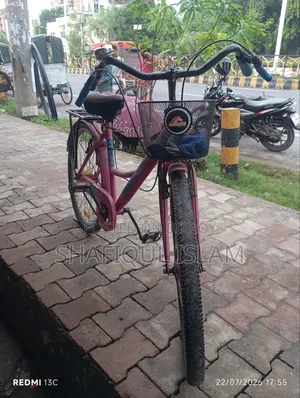 Girls Bicycle (Medium)
