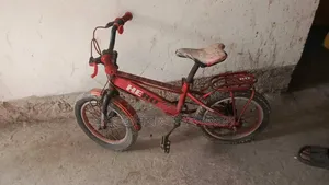 Used Cycle