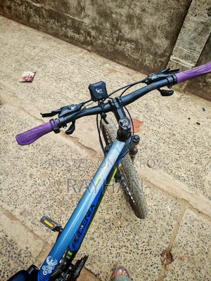 Phoenix Kubo Mountain Bike