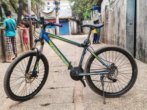 Phoenix Kubo Mountain Bike