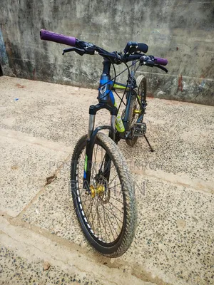 Phoenix Kubo Mountain Bike