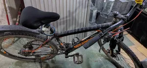 Forever Cycle