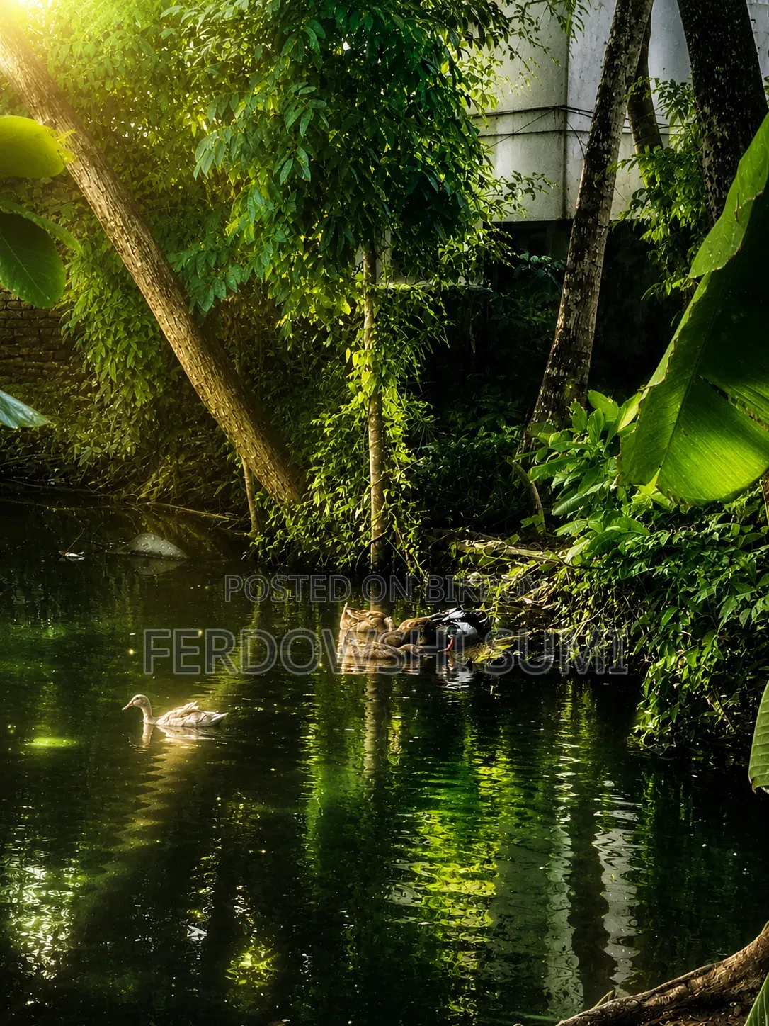 একটি চাকরি প্রয়োজন