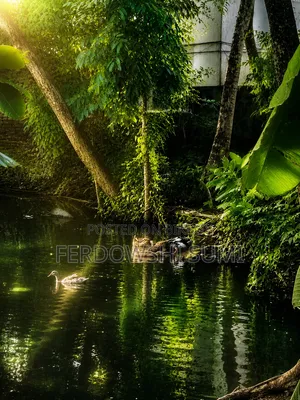 একটি চাকরি প্রয়োজন