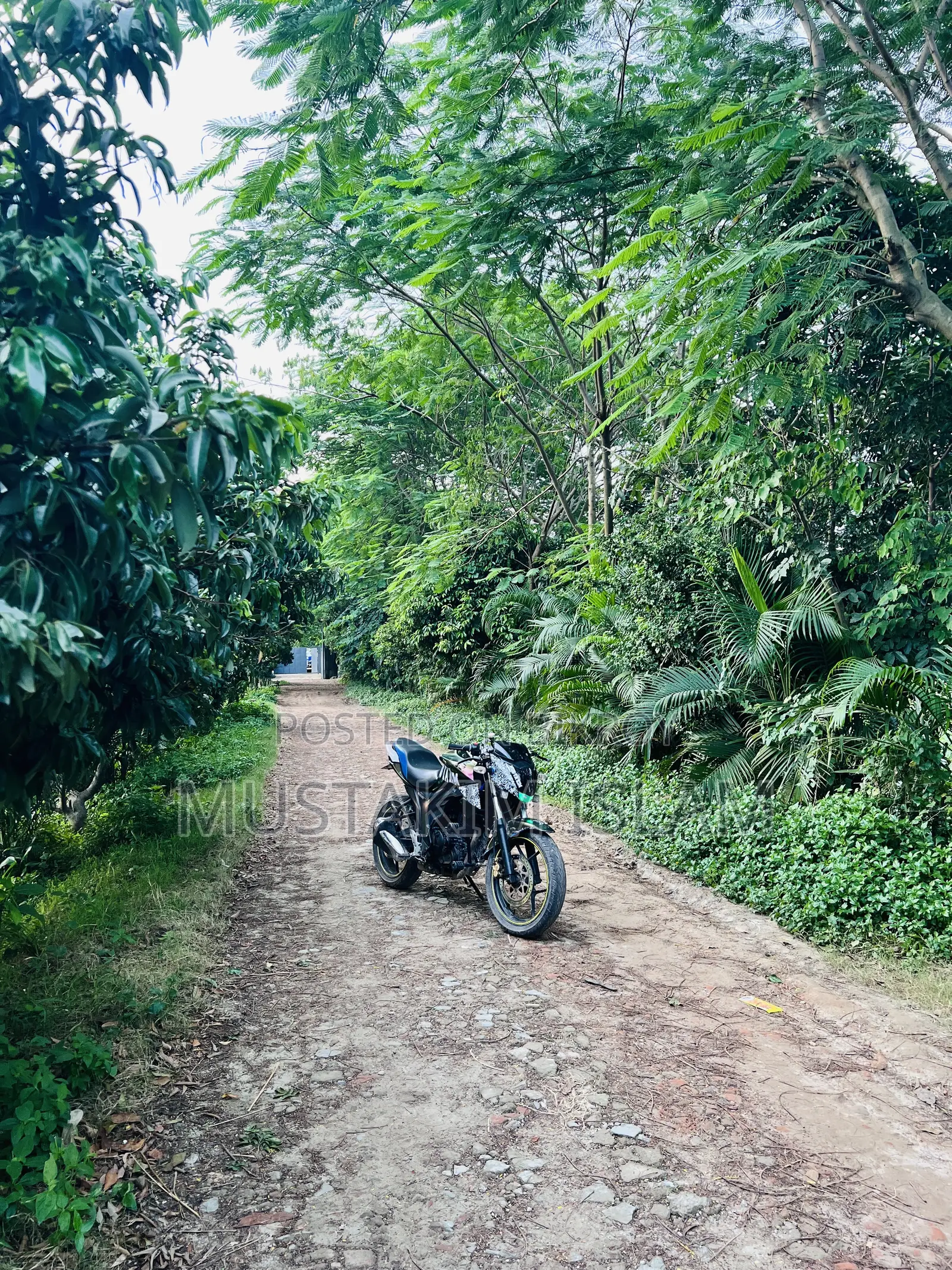 Suzuki Gixxer Monotone 2018 Blue