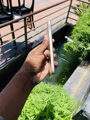 অপ্পো এ১৭কে ৬৪ জিবি গোল্ড