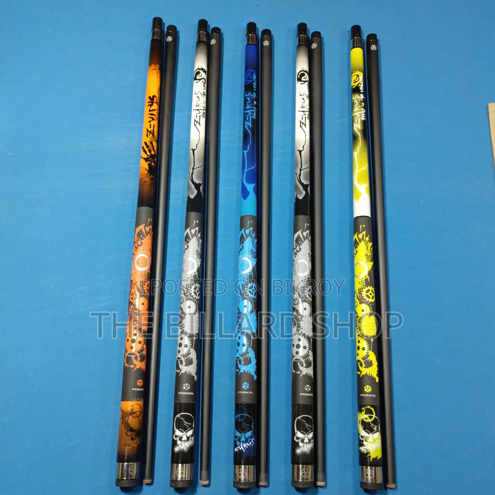 Pool Cue Professional