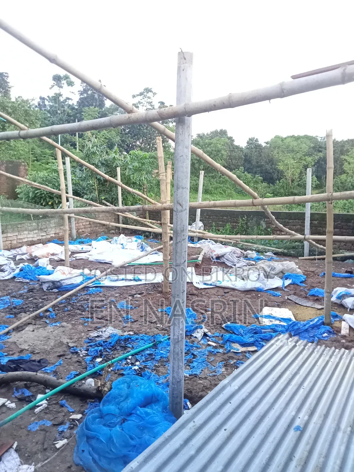 Sale of Farm Tin Sheets and Cement Poles