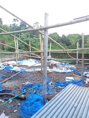 Sale of Farm Tin Sheets and Cement Poles