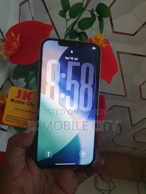 অ্যাপল আইফোন ১২ প্রো ম্যাক্স ২৫৬ জিবি গোল্ড