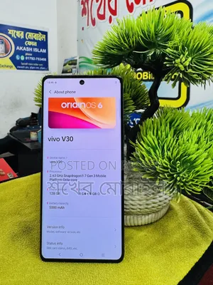 Vivo V30 5G 256 GB Gray
