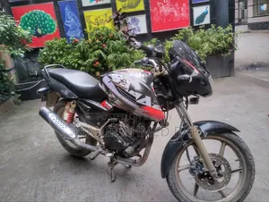 Bajaj Pulsar 150 2007 Black