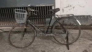 Phoenix Classic Cycle