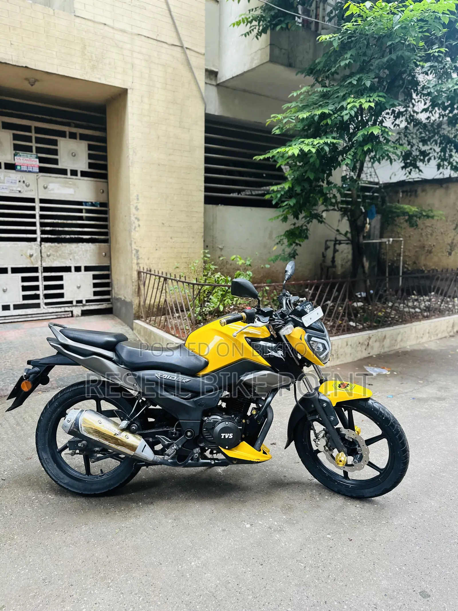 টিভিএস রাইডার ১২৫ ২০২৫ হলুদ
