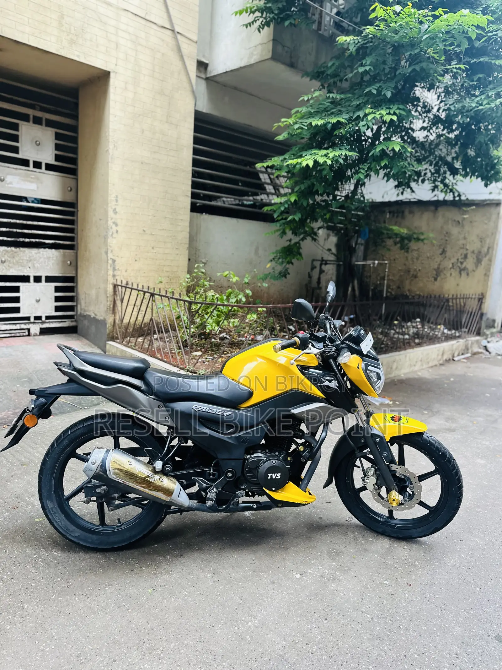 টিভিএস রাইডার ১২৫ ২০২৫ হলুদ