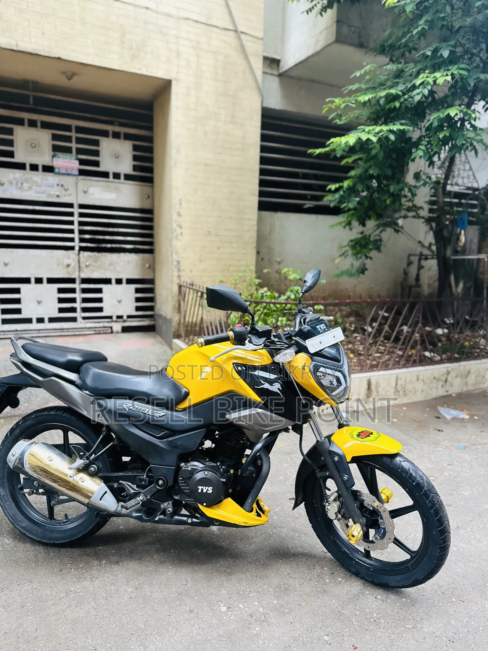 টিভিএস রাইডার ১২৫ ২০২৫ হলুদ