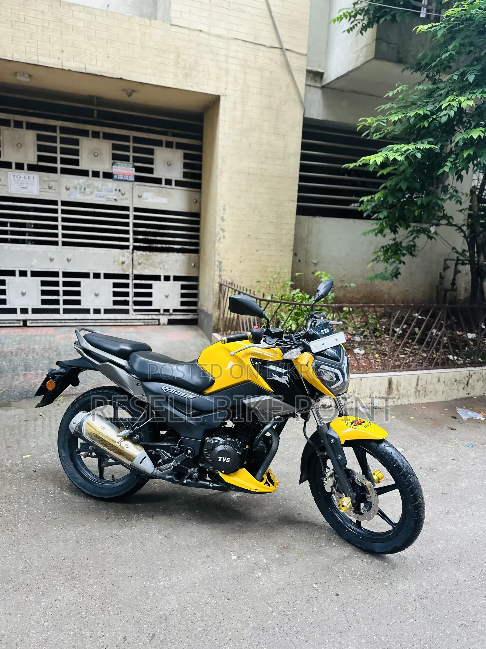 টিভিএস রাইডার ১২৫ ২০২৫ হলুদ