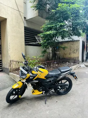 টিভিএস রাইডার ১২৫ ২০২৫ হলুদ