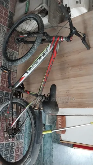 Phonix Cycle