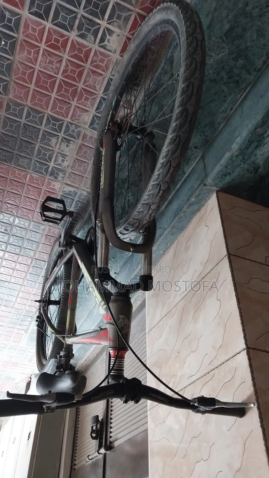Phonix Cycle