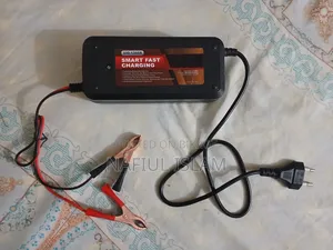 12V Smart Battery Charger