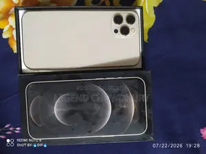Apple iPhone 12 Pro Max 128 GB Gold