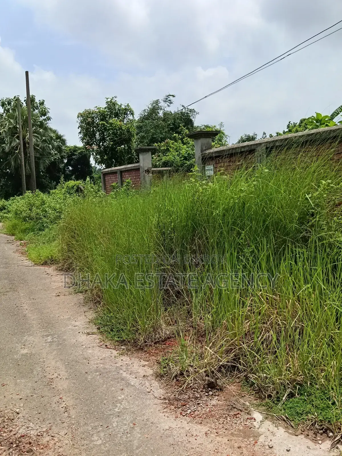 Urgent South Facing 5 Katha Plot in Sector 16A