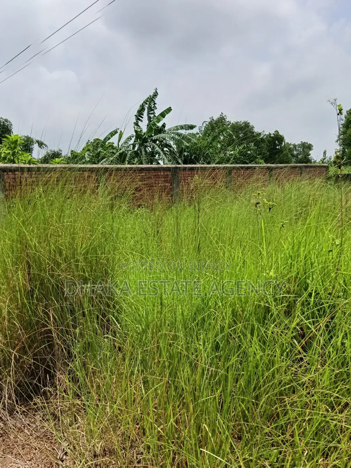 Urgent South Facing 5 Katha Plot in Sector 16A