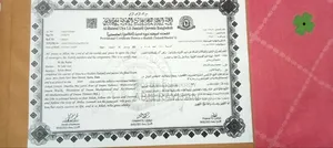 Want to Teach Arabic