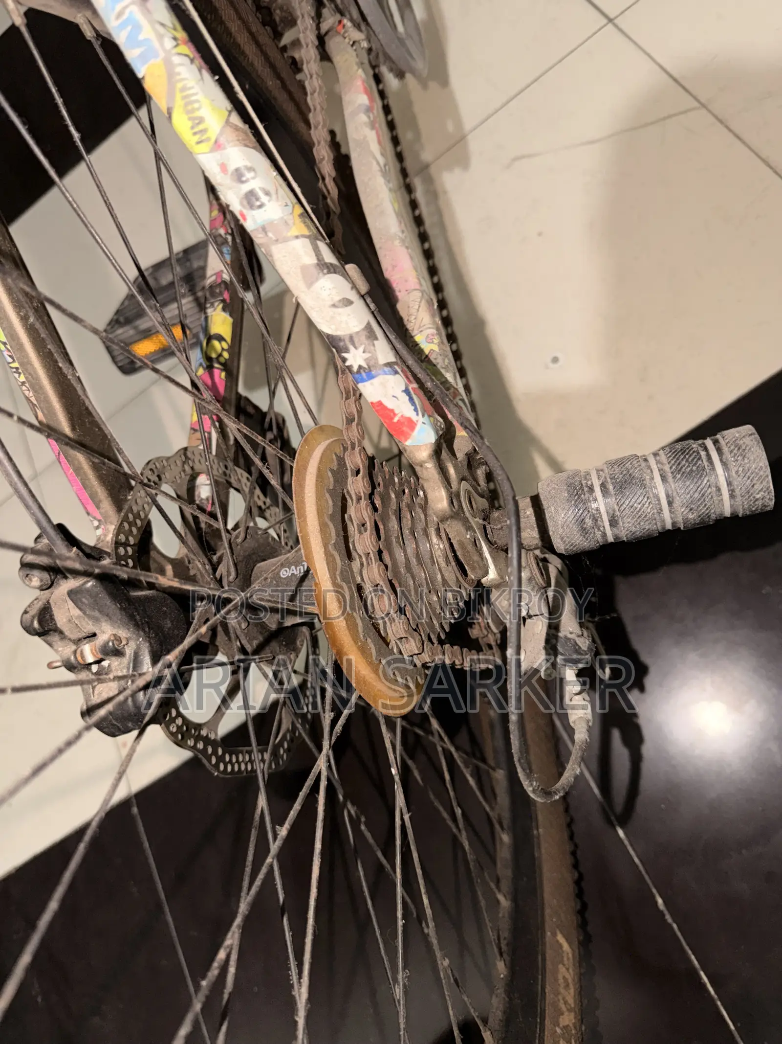 Foxstar Cycle