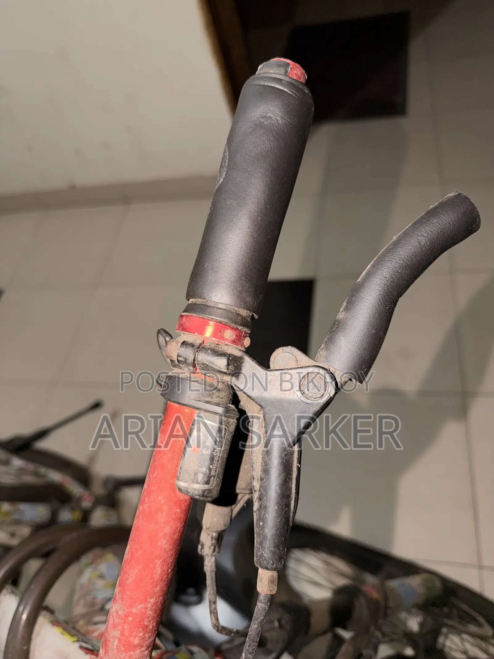 Foxstar Cycle