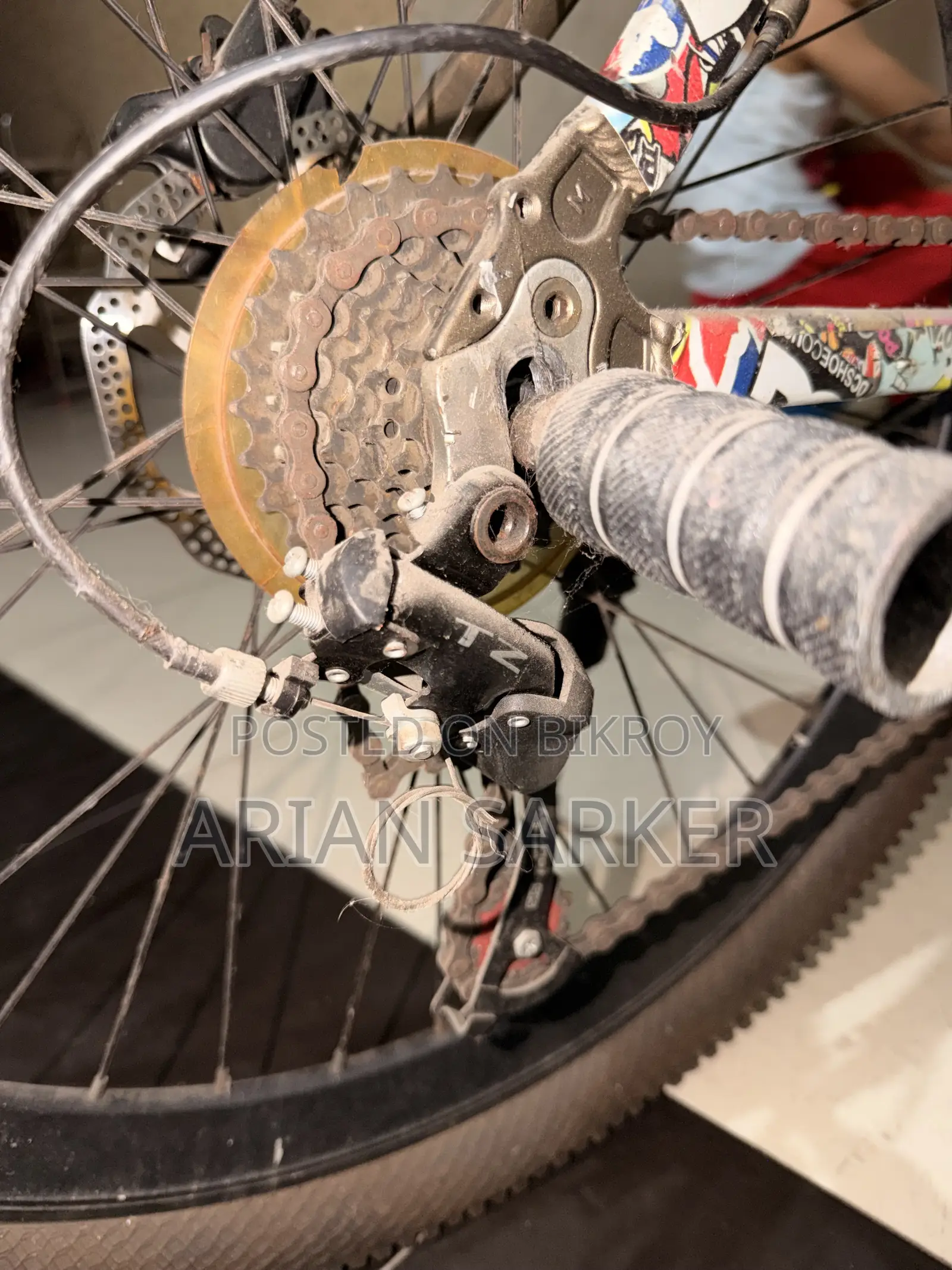 Foxstar Cycle