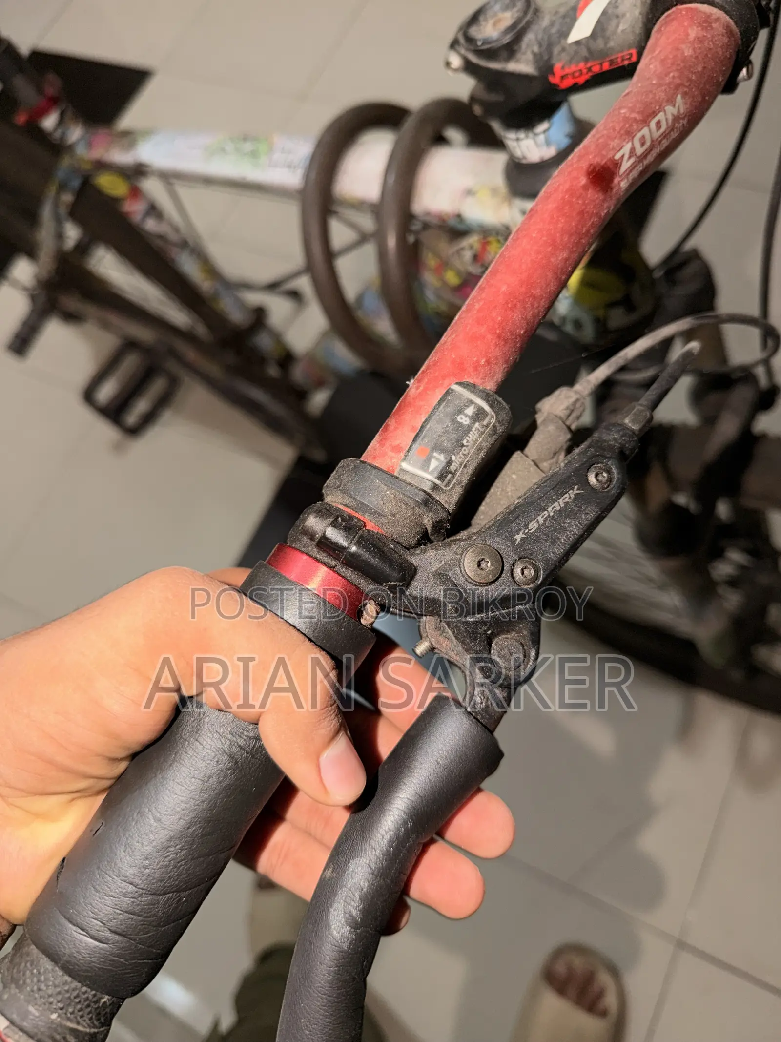 Foxstar Cycle