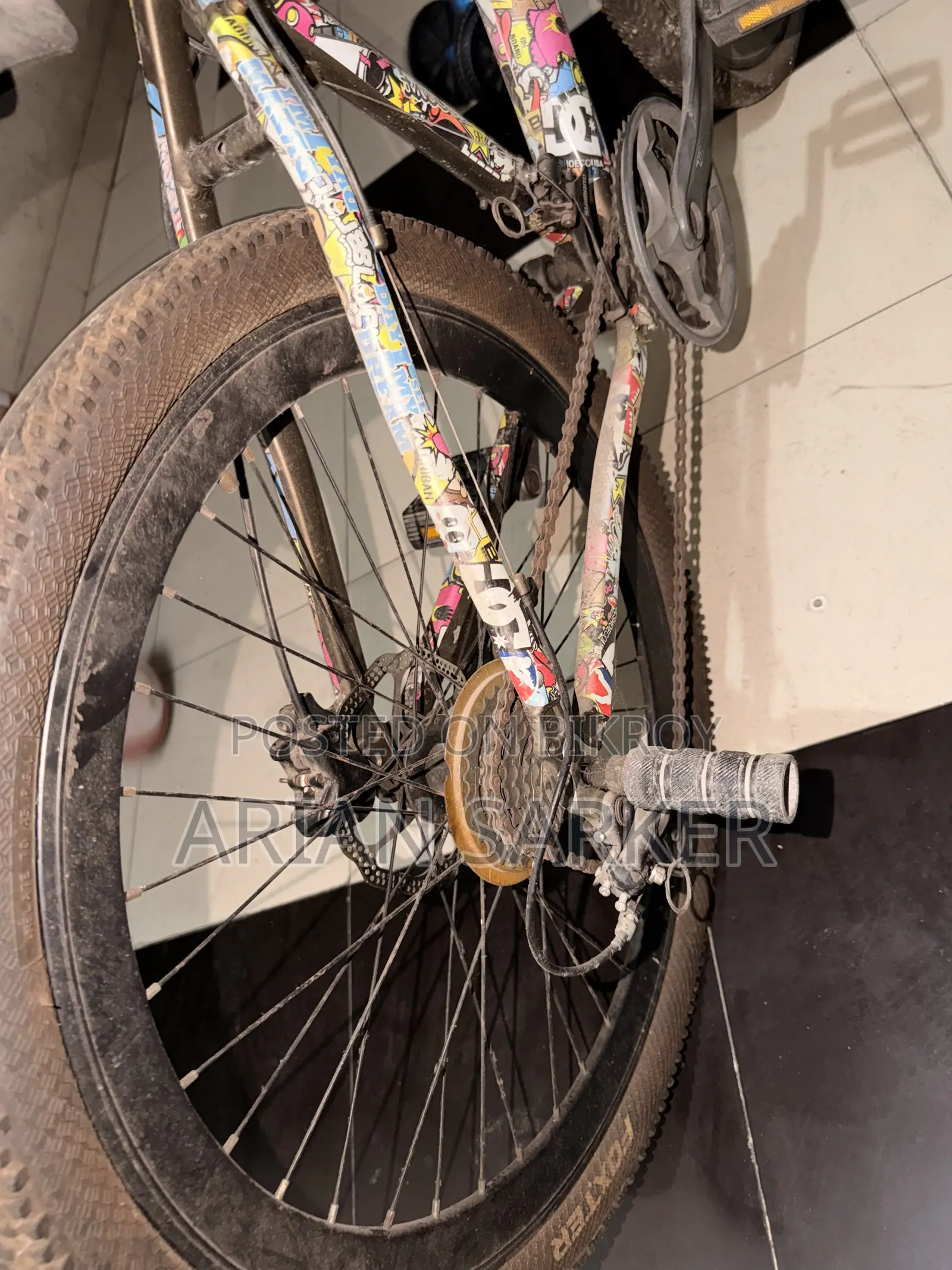 Foxstar Cycle