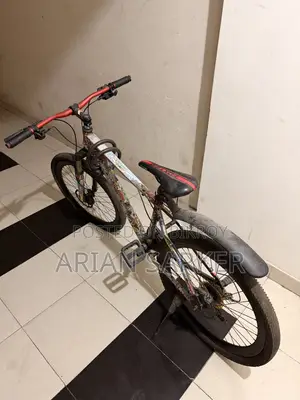 Foxstar Cycle