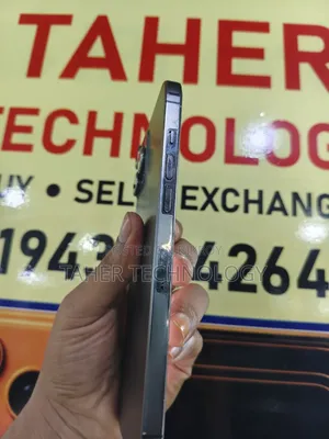 Apple iPhone 12 Pro Max 256 GB Gray