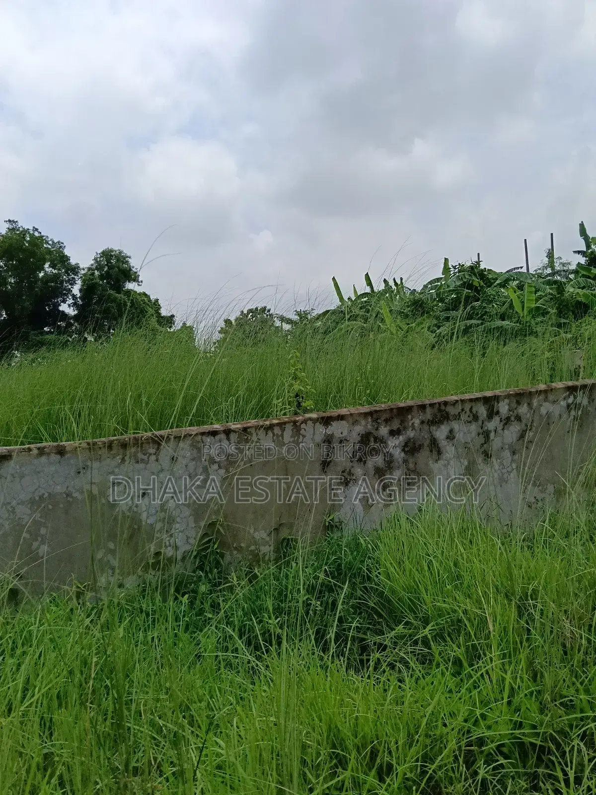 Urgent South Facing 5 Katha Sector-16A